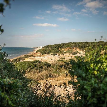 לינה וארוחת בוקר אנזיו Vacationers Refuge מראה חיצוני תמונה